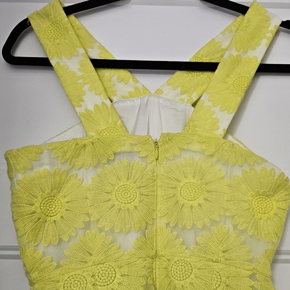 New Daniel Cremieux Women's "Natalie" Daisy Sleeveless Sundress sz 0 NWT - Picture 6 of 8